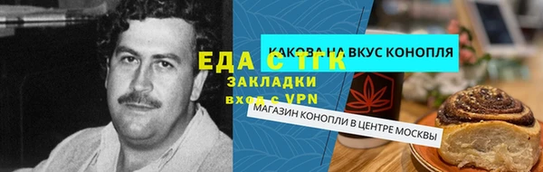 ECSTASY Алзамай