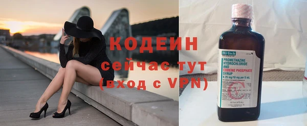 ECSTASY Алзамай