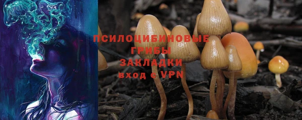 ECSTASY Алзамай