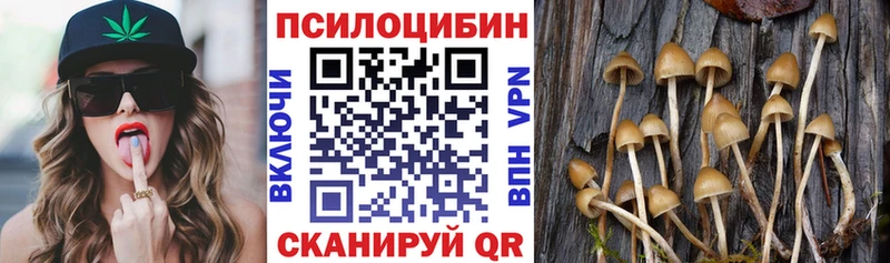 хочу   Стародуб  blacksprut ТОР  Галлюциногенные грибы MAGIC MUSHROOMS 